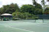 Tennis Courts.jpg (407116 bytes)